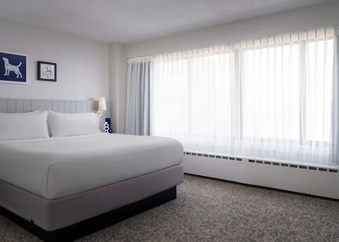 Sonesta Es Downtown Magnificent Mile Medical Chicago
