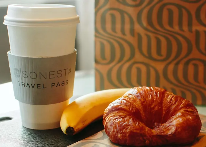 Sonesta Es Downtown Magnificent Mile Medical Chicago