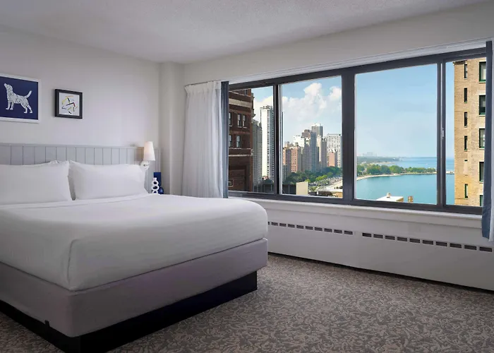 Sonesta Es Downtown Magnificent Mile Medical Hotel Chicago