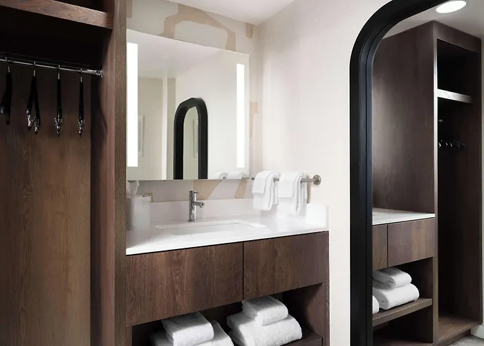 Hotel Sonesta Es Downtown Magnificent Mile Medical 3*