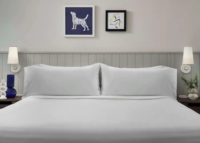 Hotel Sonesta Es Downtown Magnificent Mile Medical Chicago